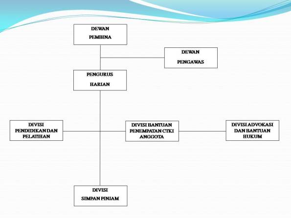 struktur organisasi dewan pengurus